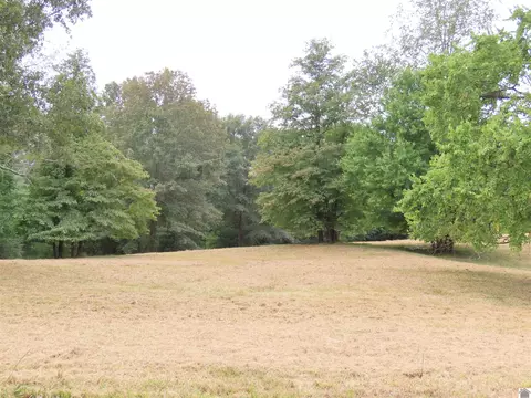 00 Pacific Ave, Wingo, KY 42088