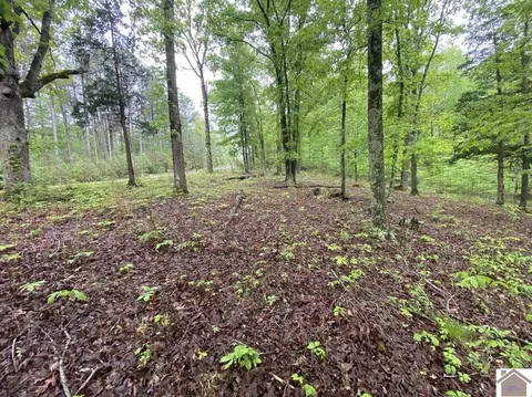 lot100 Western Dr, Murray, KY 42071