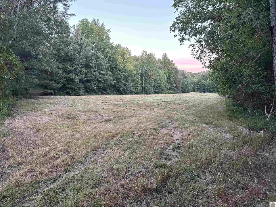  315 Dunaway Ln, Boaz, KY 42027 photo 3