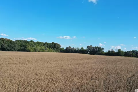 0 Wingo Road Hwy 129, Wingo, KY 42088