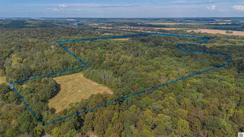 000 Dunlap Rd, Tiline, KY 42083