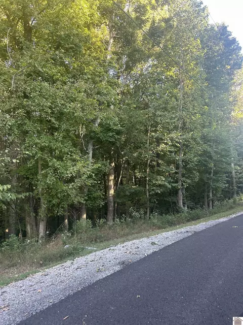 Woodfield Estates, Cadiz, KY 42211