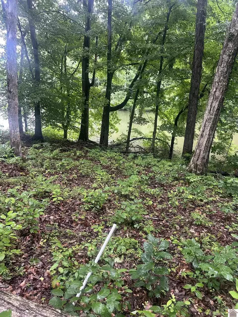 Woodfield Estates, Cadiz, KY 42211