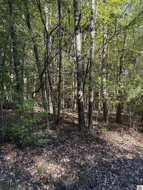 134 Sunset Ct #BEECH SPRING ACRES, Cadiz, KY 42211