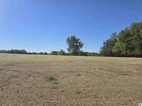 000 N State Route 295 #TRACT III, Kuttawa, KY 42055