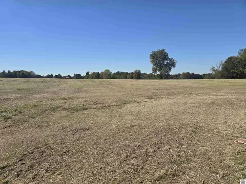 000 N State Route 295 #TRACT IV, Kuttawa, KY 42055