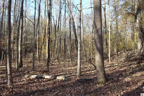 000 Parkersville Rd, Eddyville, KY 42038