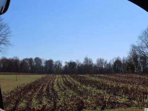 00 Boyd Rd, Wingo, KY 42088