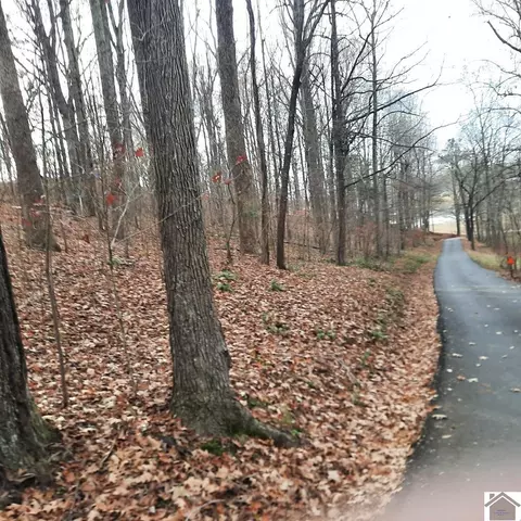 lot Apt 8 Harbor Dr, Eddyville, KY 42038