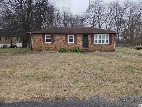 143 Mccullum, Ledbetter, KY 42058