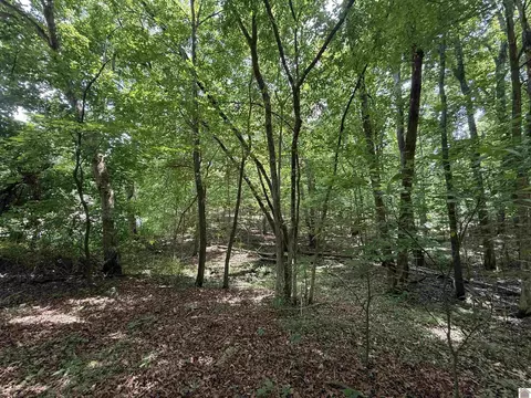000 Waterway Trl #LOT 70B - KENIANA LAKE SHORE SUB, New Concord, KY 42076