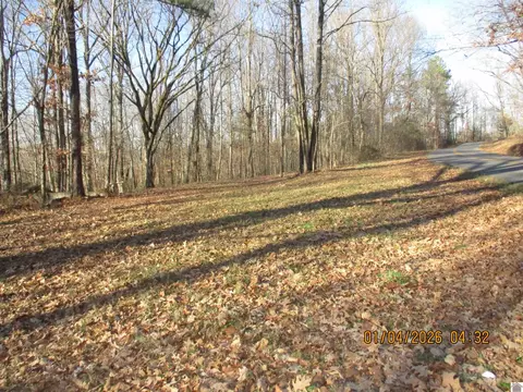 00 Downing Rd, Kirksey, KY 42054