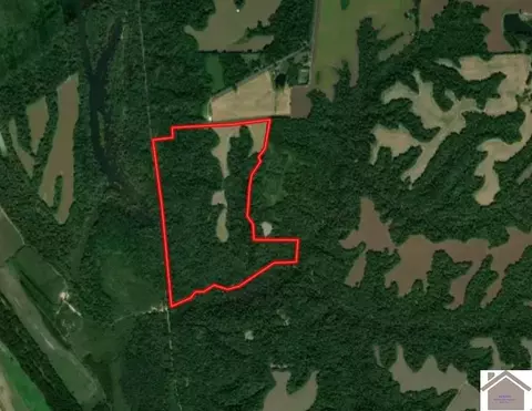 000 Sandy Branch Rd, Bardwell, KY 42023