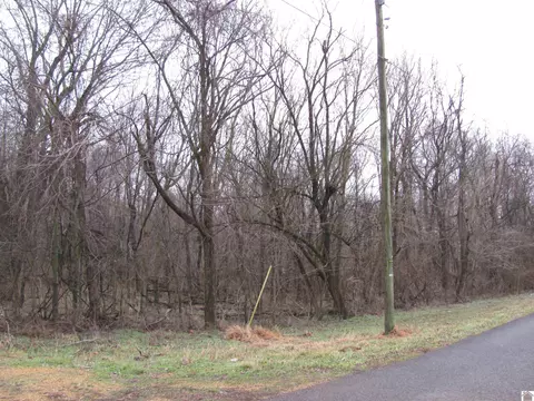 00 Rodgers Loop, Mayfield, KY 42066