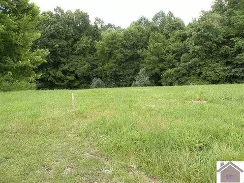 ooo Corinne Road #14 CORINNE ROAD, Eddyville, KY 42038
