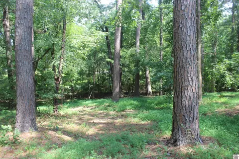 15 Harborview Ln, Benton, KY 42025