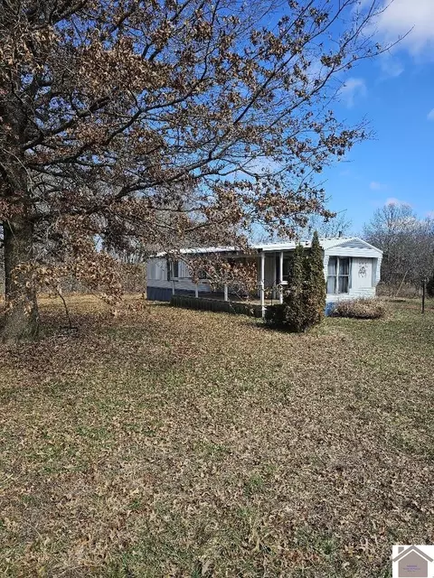 1134 Nelson Trl, Dexter, KY 42036