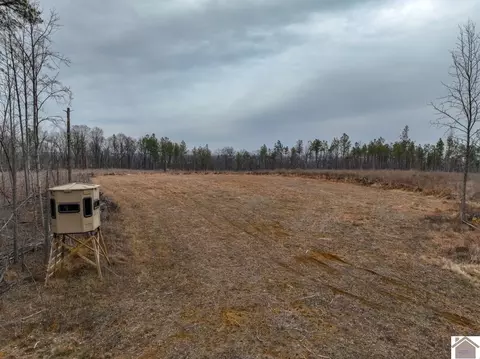 000 Cedar Grove Road Apt #(LIVINGSTON CO. KY 77), Salem, KY 42078