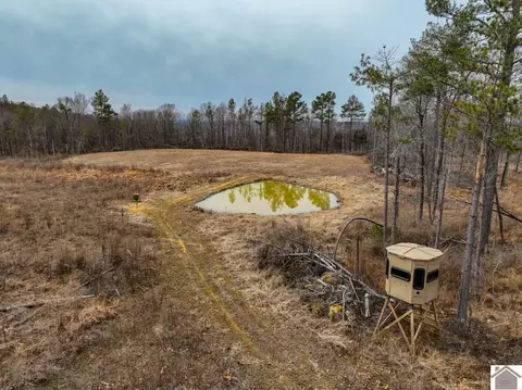 000 Cedar Grove Road Apt #(LIVINGSTON CO. KY 102), Salem, KY 42078