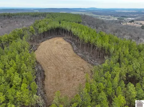 000 Cedar Grove Road Apt #(LIVINGSTON CO. KY 129), Salem, KY 42078