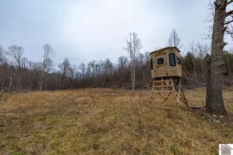 000 U S Highway 60 Apt #(LIVINGSTON CO. KY 139), Salem, KY 42078