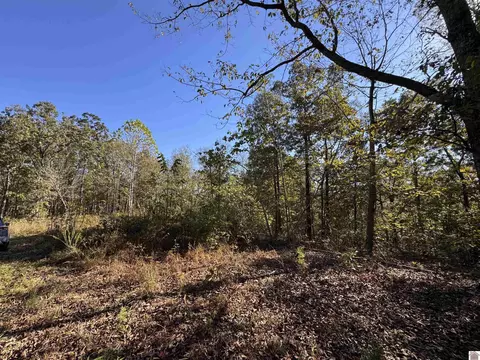 00 Ridge Rd, New Concord, KY 42076