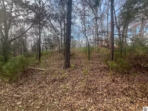 000 Steamboat Rd #LOT 8, Gilbertsville, KY 42044