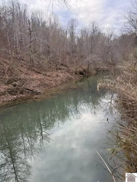 20533 Princeton Olney Rd, Princeton, KY 42445