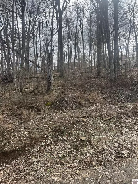 26 Donaldson Shores Drive #FERRELL CIRCLE, Cadiz, KY 42211