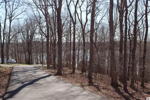 lot42 43 Lisanby Rd, Eddyville, KY 42038
