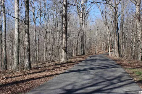 lot44 45 Lisanby Rd, Eddyville, KY 42038