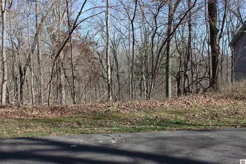 lot54 55 Lisanby Rd, Eddyville, KY 42038