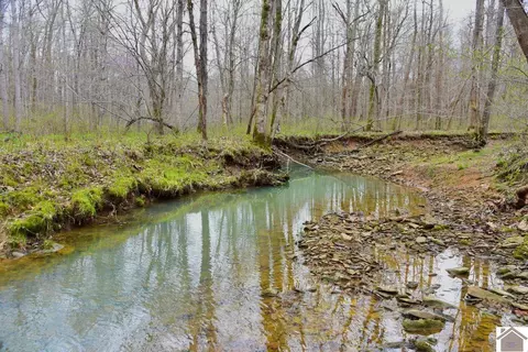 000 Love Chapel Cemetery Road Apt #(LIVINGSTON CO. KY 147.7043), Smithland, KY 42081