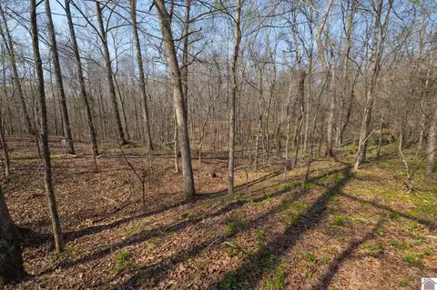 000 Croaker Lane Apt #(CALLOWAY CO. KY 182.387), Hazel, KY 42049 photo 33