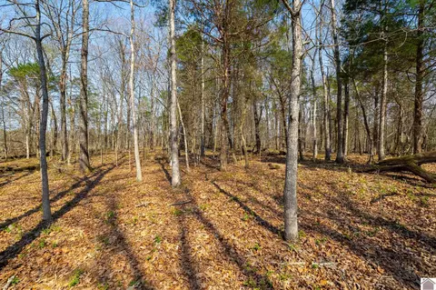 000 Croaker Lane Apt #(CALLOWAY CO. KY 182.387), Hazel, KY 42049 photo 39