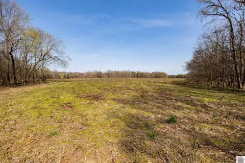 000 Croaker Lane Apt #(CALLOWAY CO. KY 182.387), Hazel, KY 42049 photo 34