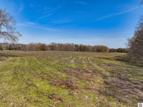 000 Croaker Lane Apt #(CALLOWAY CO. KY 182.387), Hazel, KY 42049 photo 37
