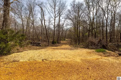 000 Croaker Lane Apt #(CALLOWAY CO. KY 182.387), Hazel, KY 42049 photo 44