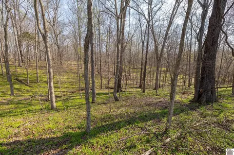 000 Croaker Lane Apt #(CALLOWAY CO. KY 182.387), Hazel, KY 42049 photo 17