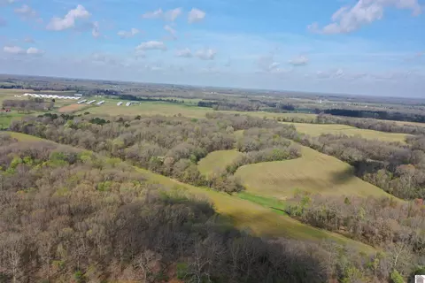 0 Highway 301 #0 TRACE CREEK ROAD, Mayfield, KY 42066