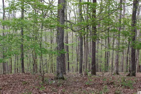 lot80 Lisanby Rd, Eddyville, KY 42038