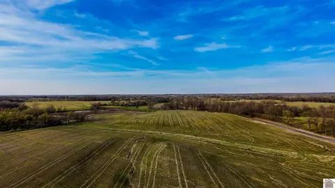 0 County Road 1110 Hwy 80 Apt Tracts 45678 #TRACTS 4,5,6,7,8, Fancy Farm, KY 42039