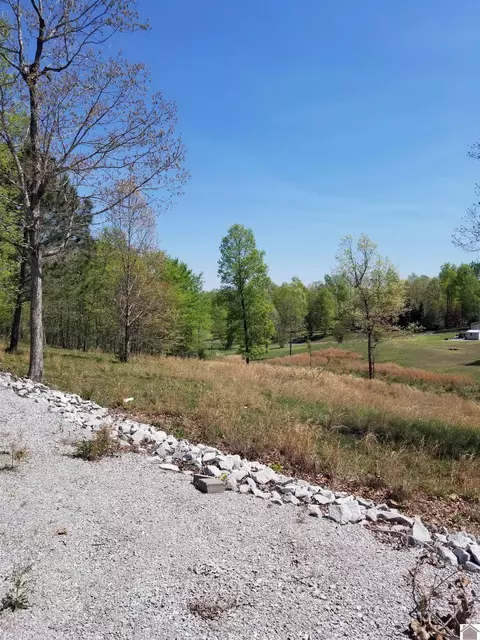88 Eleanor, Gilbertsville, KY 42044