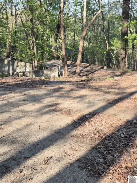 bear run trail LOT 2, Benton, KY 42025
