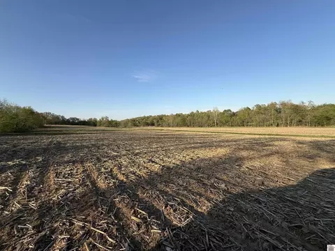 0 Carter Rd, Mayfield, KY 42066