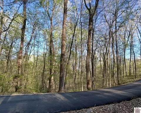lot14 E Commerce Landing Rd, Eddyville, KY 42038