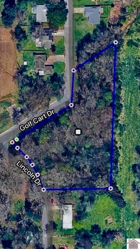 0 Lincoln Dr #GOLF CART DRIVE, Mayfield, KY 42066