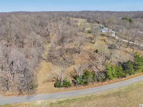 2113 Chestnut Oak, Kuttawa, KY 42055