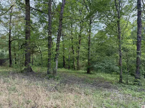 0000 New Hope Rd, Calvert City, KY 42029