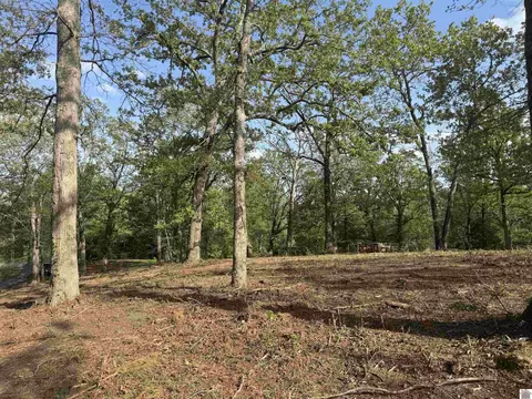 0 Sauger Ln, Murray, KY 42071 photo 22